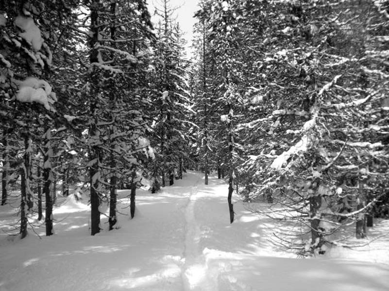 near Bird Pass, or whatever